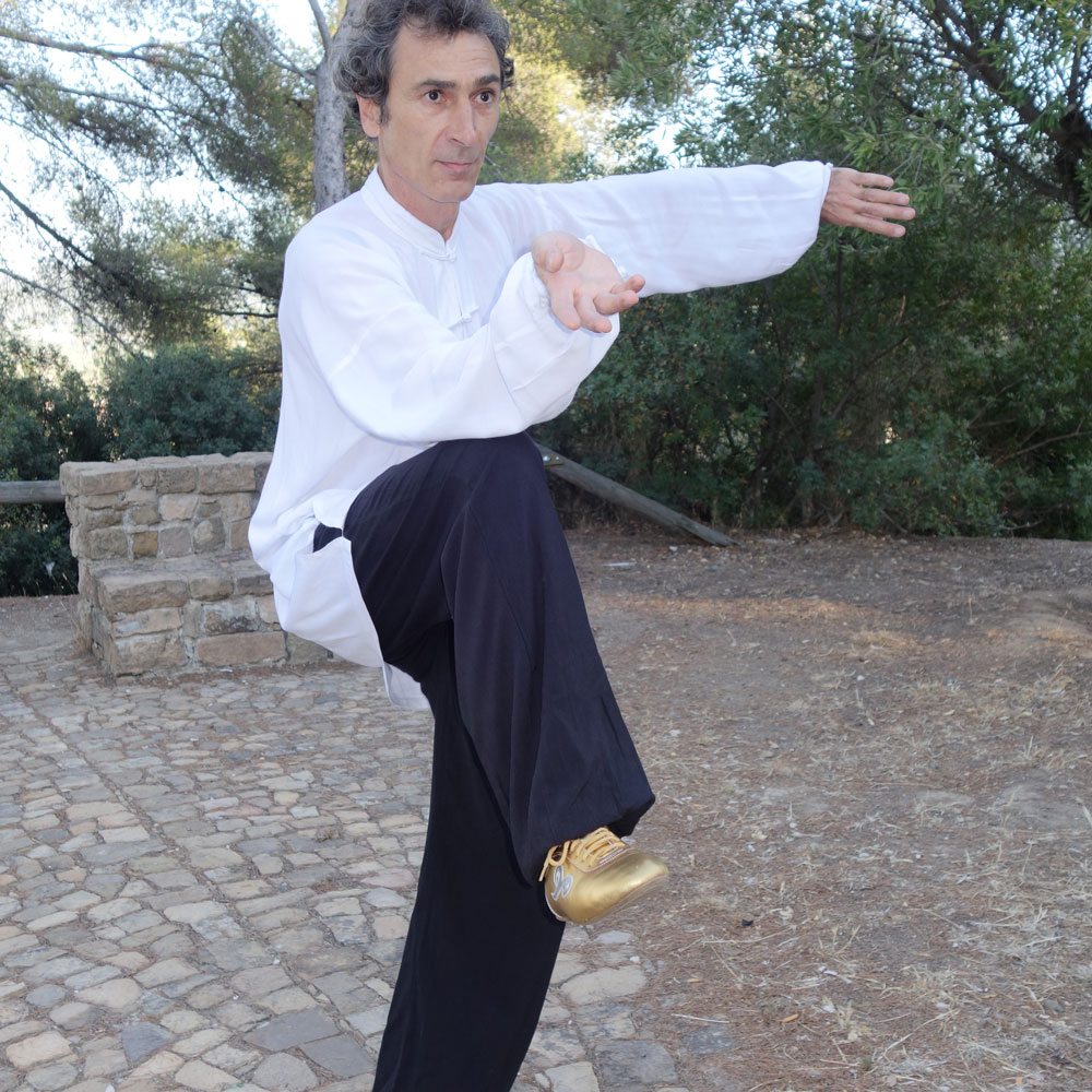 Mouvement taichi chuan Autourdutao la Garde