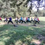 stage-taichi-blagnac-autour-du-tao